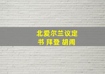 北爱尔兰议定书 拜登 胡闹